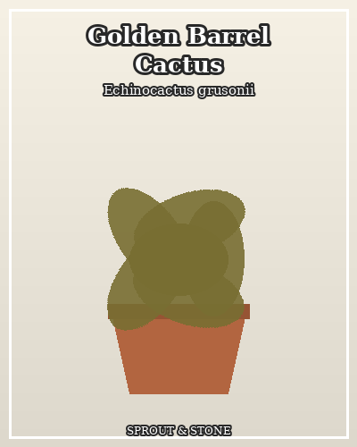 Photo of Golden Barrel Cactus