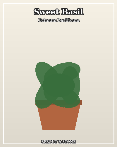 Photo of Sweet Basil